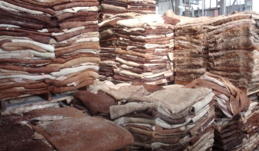 Hides market spirals to unprecedented depths