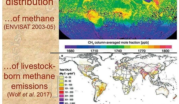 Beef briefs: research shows no detectable effect from livestock on climate