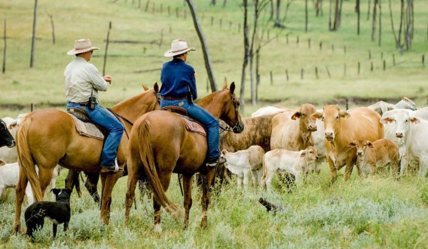 Beef import debate heats up