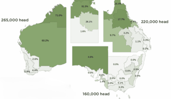 Analysis underscores value of live export trade to cattle industry