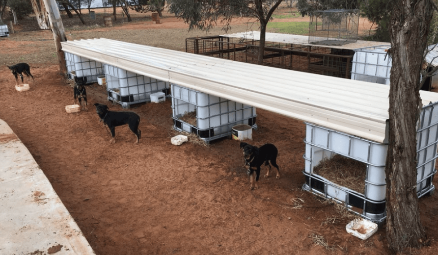Bright ideas transform bulk containers into practical innovations