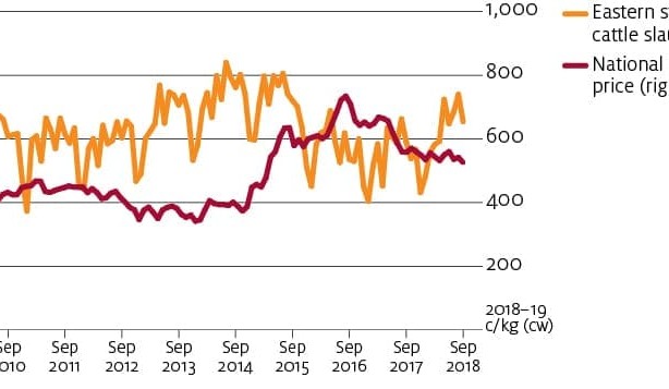 African swine fever factors into cattle price forecast
