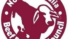 Time running out to nominate beef achievers for NABRC Medals