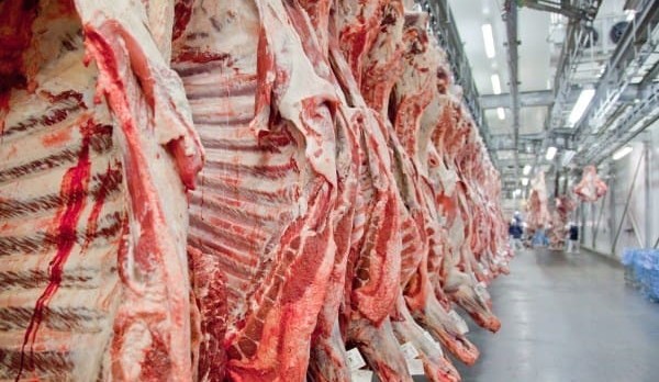 The rise and rise of the Brazilian beef industry