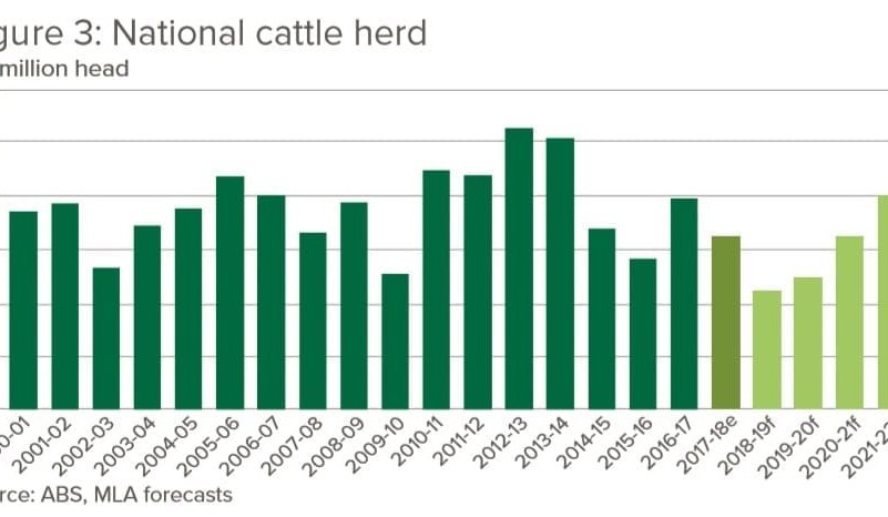 Industry projections: Cattle herd, beef production buckle under drought pressure