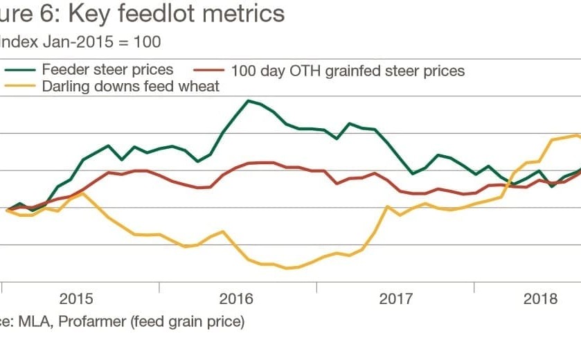 Industry projections: Cattle on feed numbers to decline 10pc from record levels