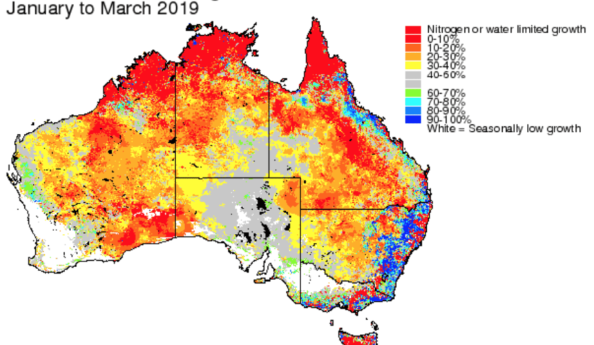 Early musters as seasonal pressure builds in Barkly and Western Qld