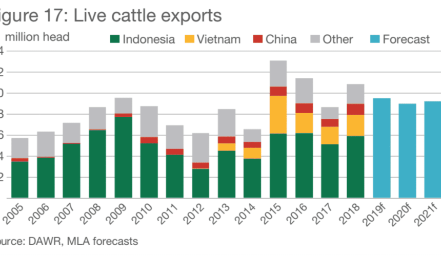 Cattle exports to fall below 1 million head in 2019