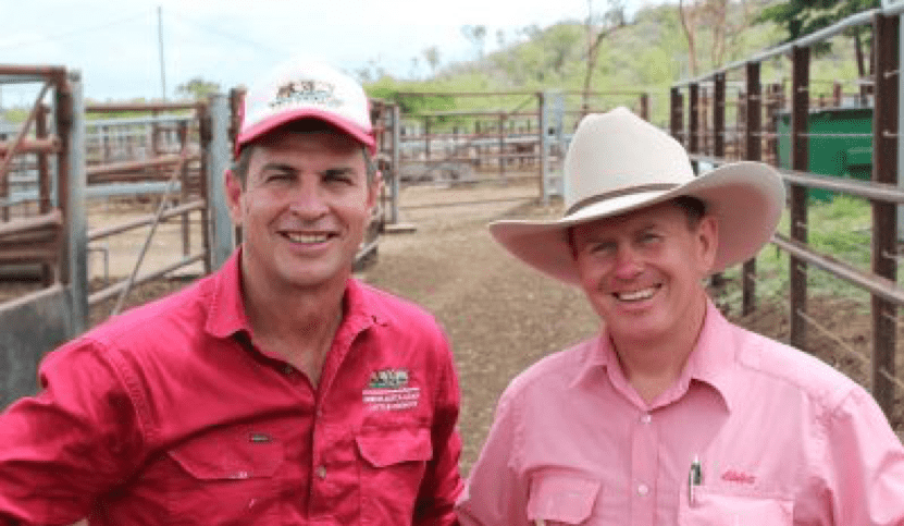 First cattle shipment from Port Alma to China