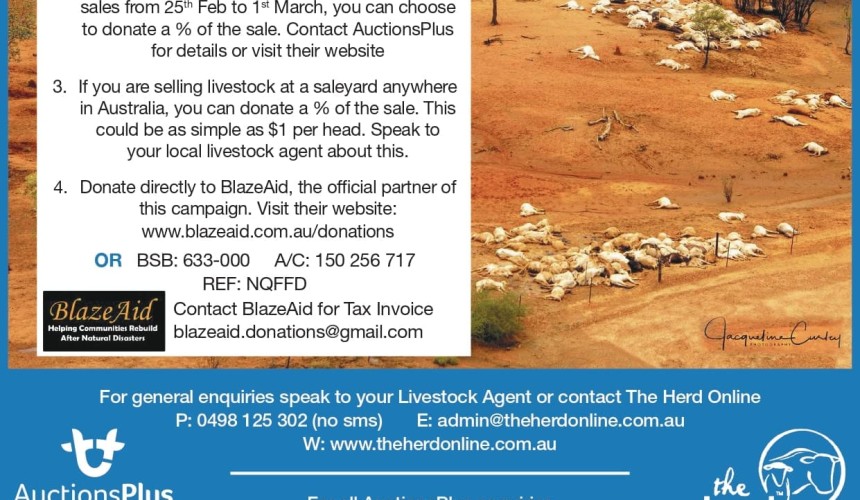 Industry gets behind North Queensland farmers flood relief drive
