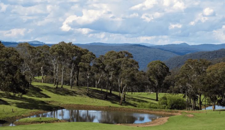 Weekly property Review: Recently completed sales