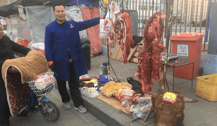 SE Asia report: Feedlots still digesting Oct cattle | Floods may disrupt Ramadan supply