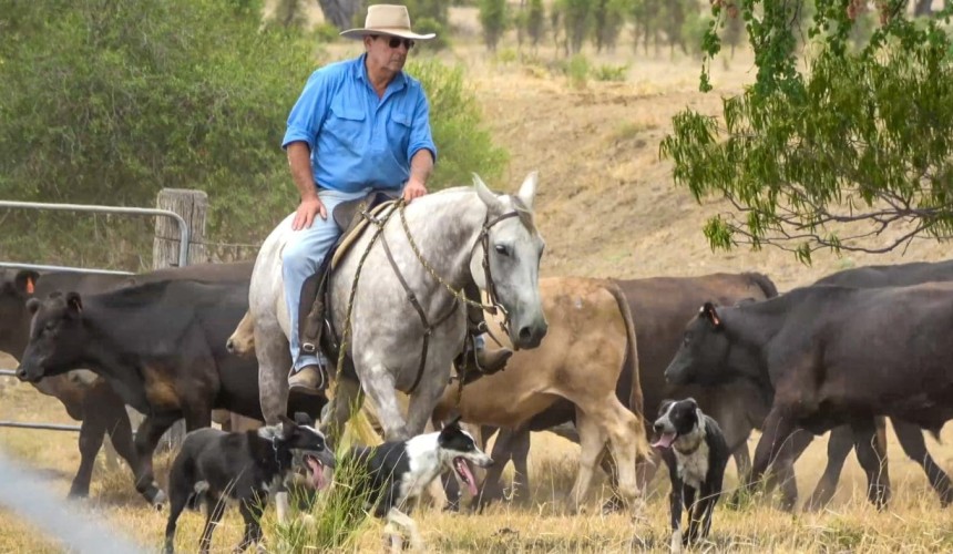Close calls mean Govt must boost biosecurity surveillance: CPA