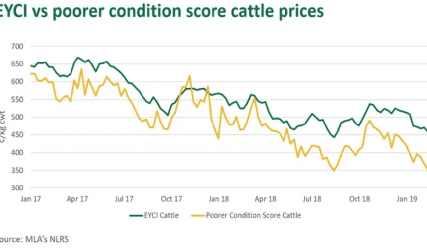 EYCI drops to four year low
