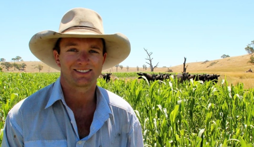 Filling the feed gap to boost beef’s profitability