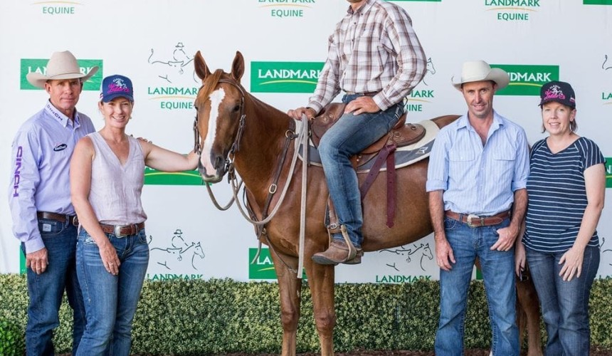 $230,000 record price for Tamworth performance horse sale filly