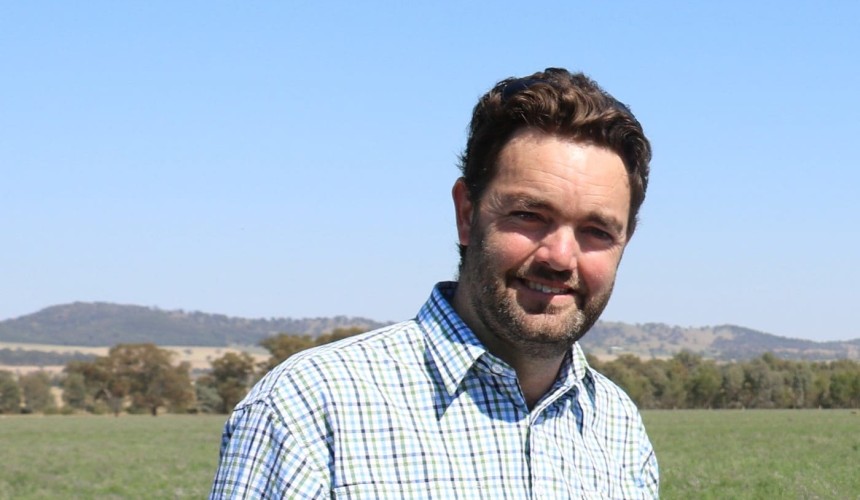 What to do with drought degraded pastures?