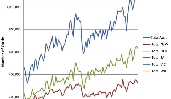 December quarter cattle on feed remain above 1.1 million head