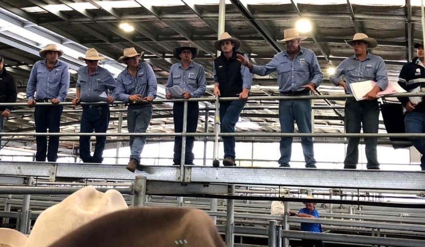 Dalby sale 29 Apr 2020: Firm to dearer market for 3150 head