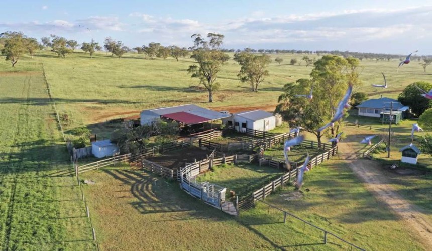 Weekly Property Review: Deals emerge for northwest grass