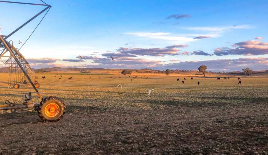 Diversity is key for +$20m Korean property purchase near Mudgee