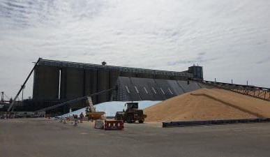 Feedgrain Focus: Prices lift from season lows