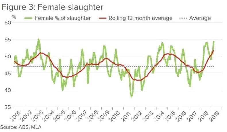 Beef herd trends ‘significantly lower’ as industry weathers tough start to 2019