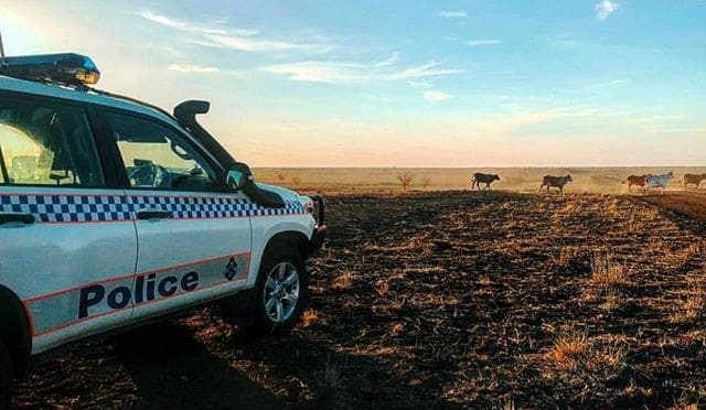 Police investigating unlawful killing of horse on NW Qld property