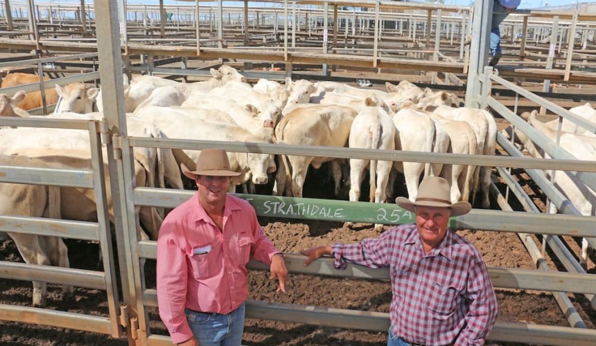 Roma store sale 2 April 2019:  Rises across most categories
