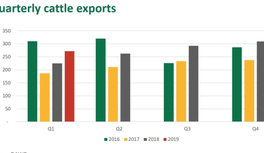 Live export and domestic feeder prices converge