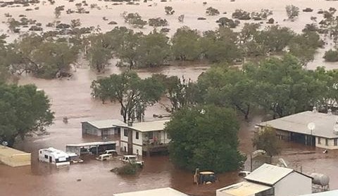 $250k loans for Cyclone Trevor affected producers