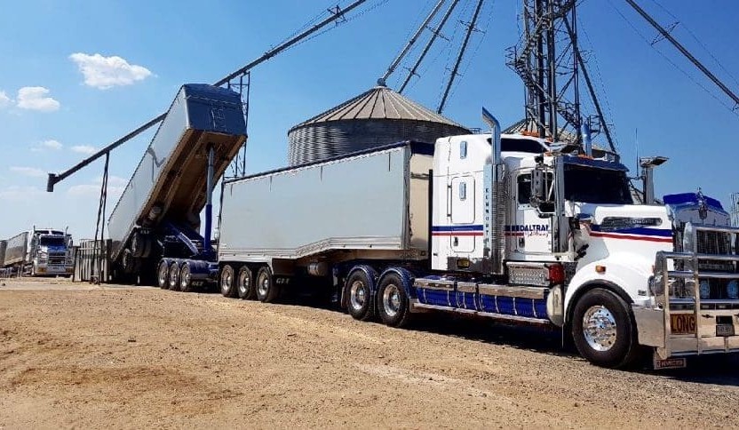 Feedgrain Focus: Prices firm as growers wait for widespread rain