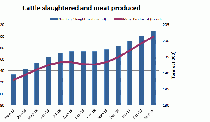 Weekly kill: ABS data reflects the extent of first quarter beef slaughter