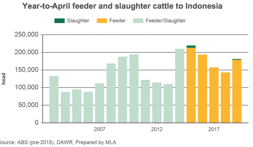 Live export shipments outpacing 2018