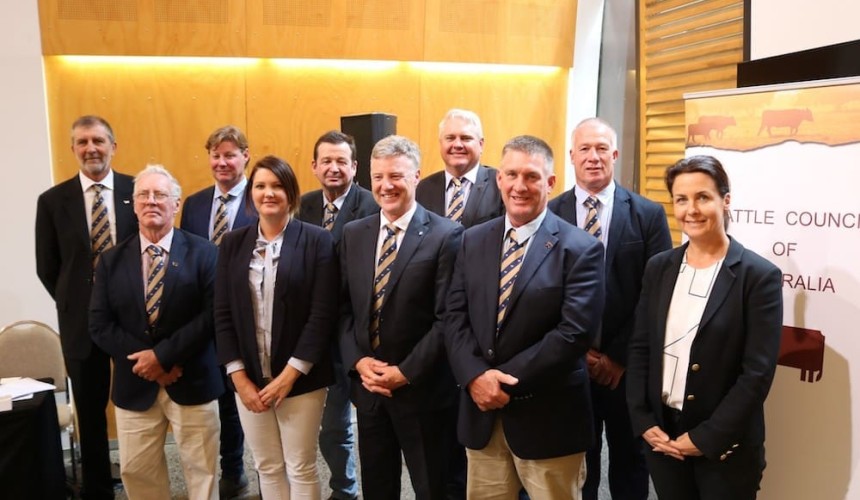CCA answers critics with move to directly elected board