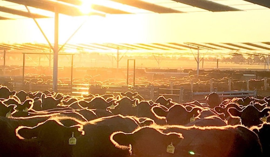 Entries open for 2020 Young Lotfeeder title