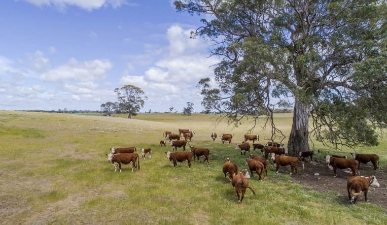 Weekly property review: Border patrol stops the rain