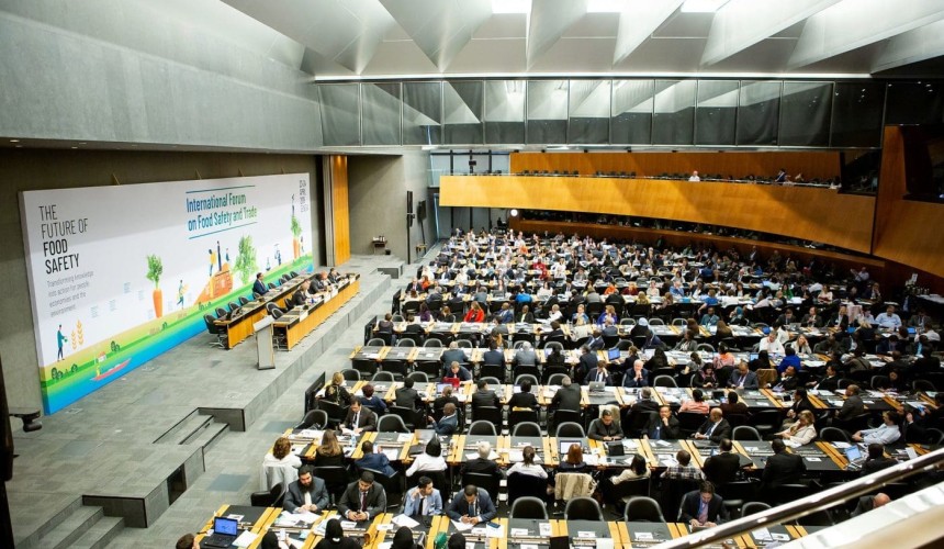 UN calls for urgent action on antimicrobial resistance