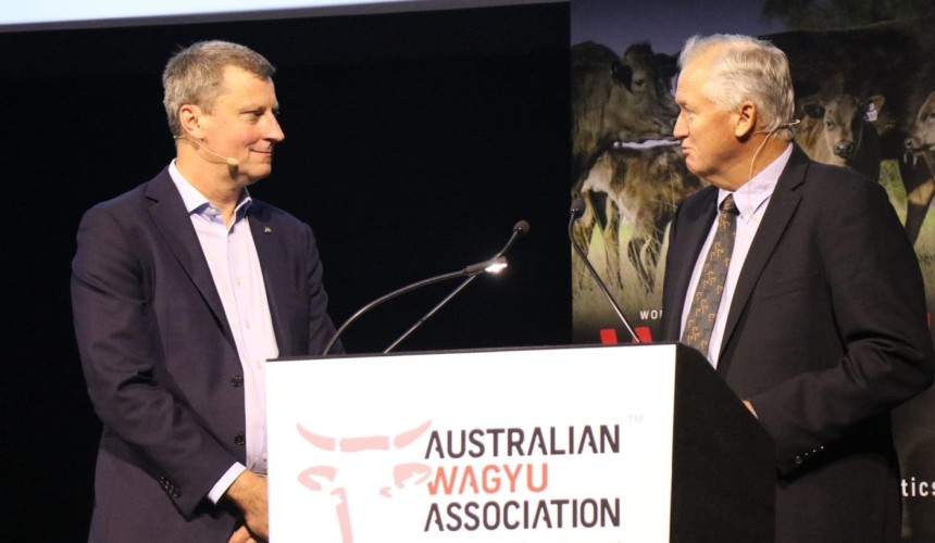 Wagyu Edge conference: AA Co moves into Polled Wagyu