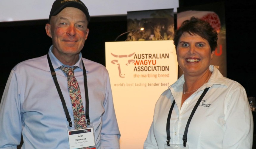 Wagyu Edge 2019: What’s driven 30 years of breed growth?