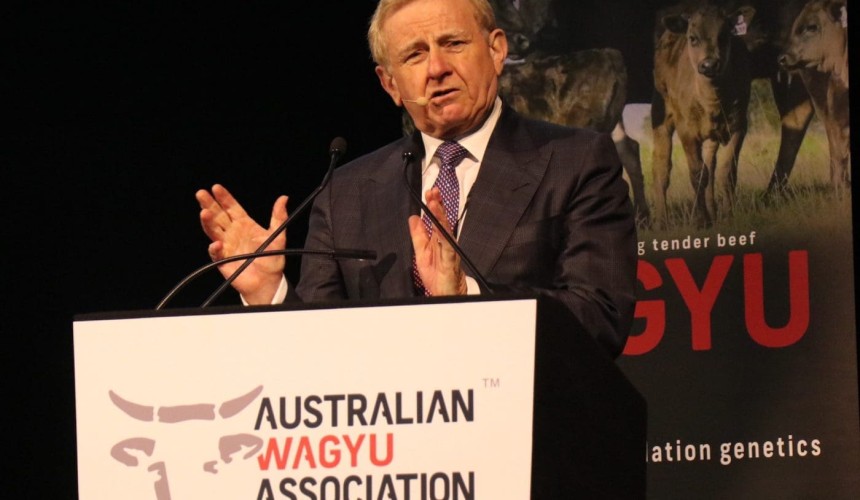 Red meat sector needs a ‘Minerals Council of Australia’