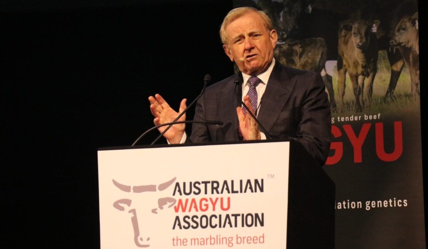Vale Simon Crean AO