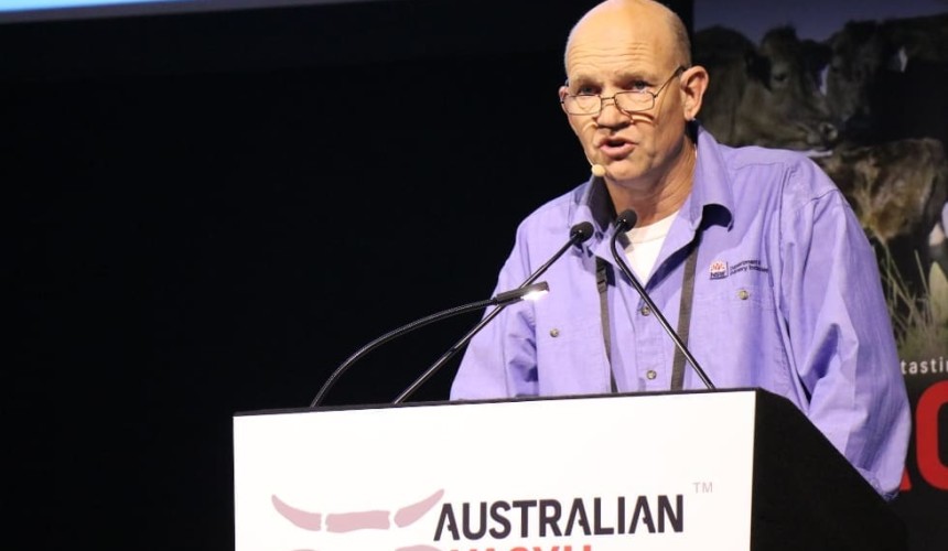 Growing out young stock comes out on top in beef gross margin calculation