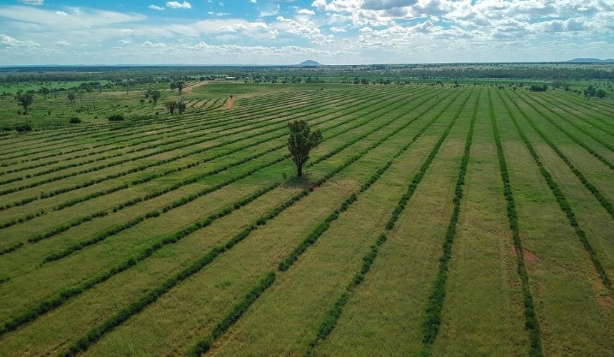 Weekly Property Review: Recent property sales wrap-up