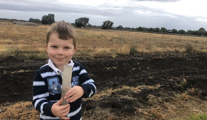 Feedgrain Focus: New-crop prices tumble on forecast rain