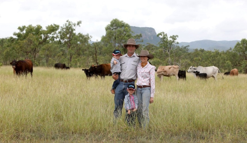 Burdekin beef producers urged to apply for $30,000 opportunity