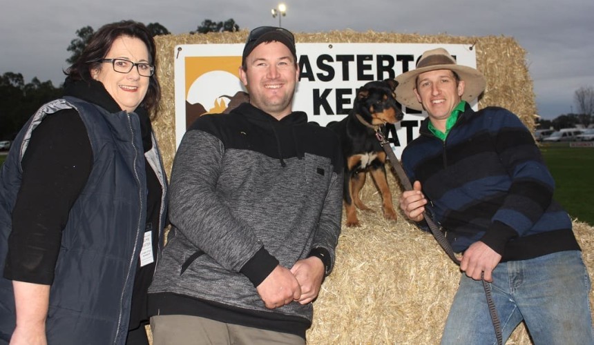 Casterton working dog auction gets online boost to $15,000 top price