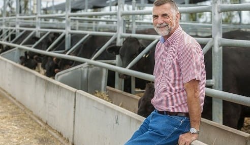 Brahman cattle reveal their genetic secrets
