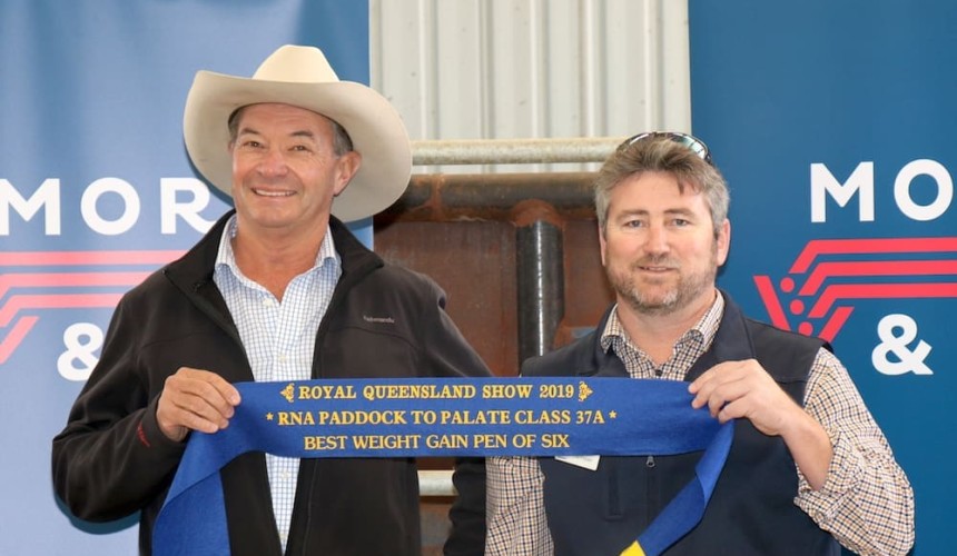 All the winners from the 2019 RNA Paddock to Palate weight gain competition