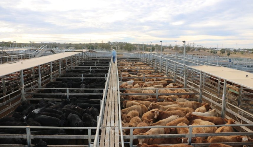 Roma store sale 2 July 2019:  Interstate buyers boost demand